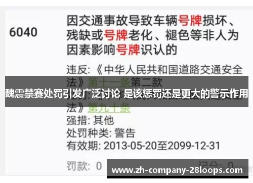 魏震禁赛处罚引发广泛讨论 是该惩罚还是更大的警示作用 魏震禁赛处罚引发广泛讨论 是该惩罚还是更大的警示作用